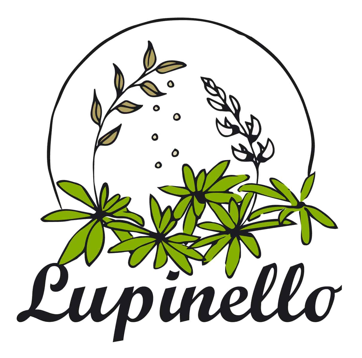 Lupinello